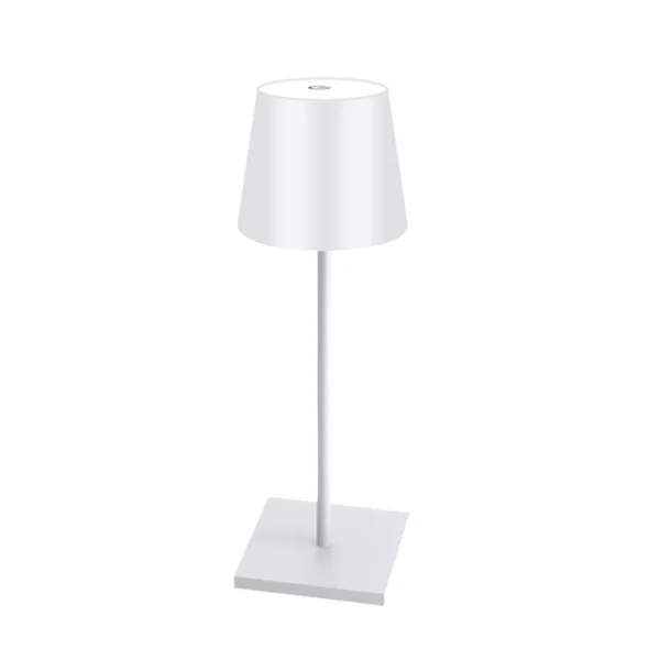 Luminaire