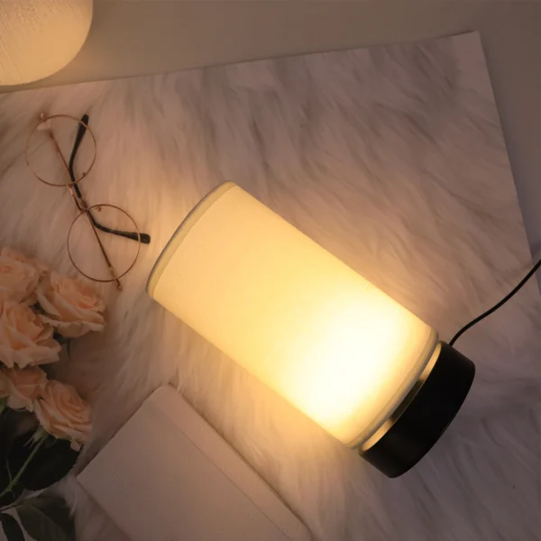 Luminaire